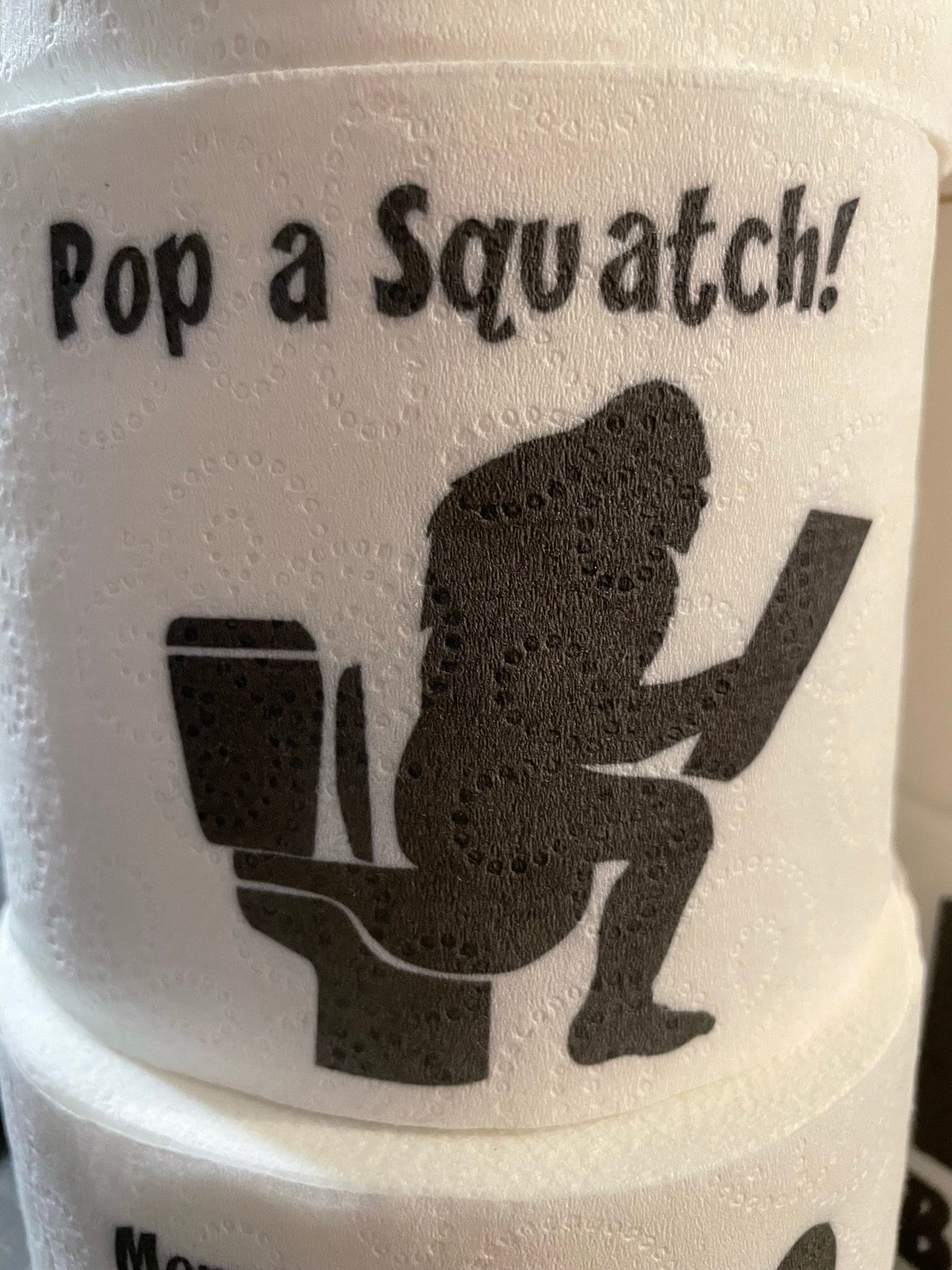 Santa Squatch Bigfoot wash rag, hand towel, bath towel set or individual -  bathroom decor