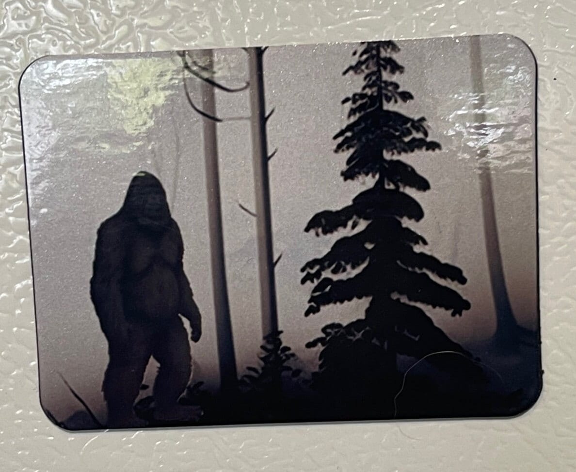 Bigfoot magnets - multiple cool Sasquatch designs 2"x3"